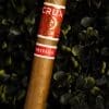 Crux Epicure Lonsdale Privada Aged 3+ Years
